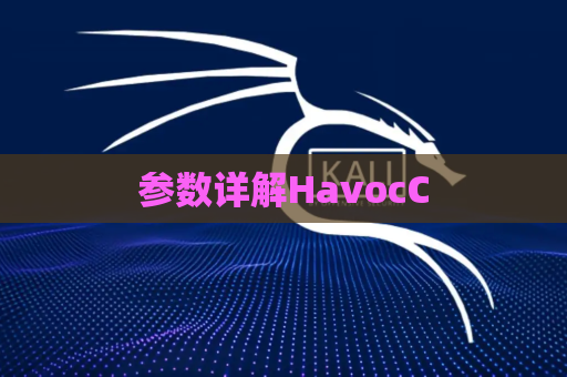 参数详解HavocC