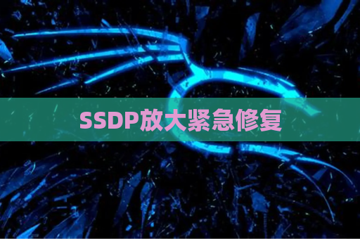SSDP放大紧急修复