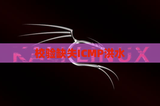 校验缺失ICMP洪水