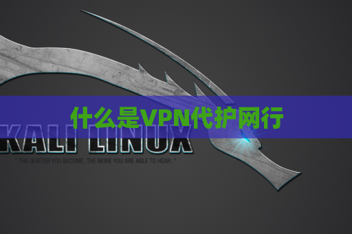 什么是VPN代护网行