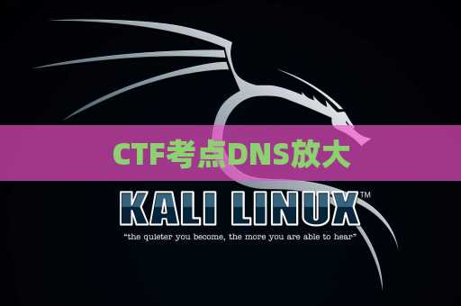 CTF考点DNS放大