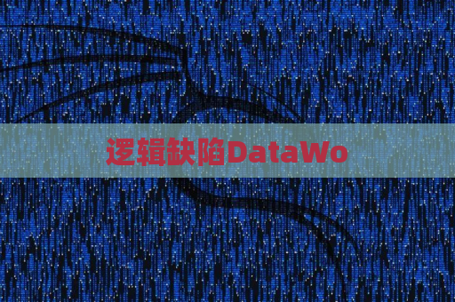 逻辑缺陷DataWo