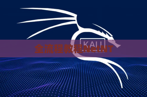 全流程教程NetNT