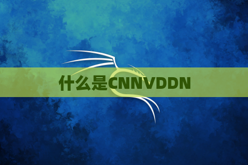 什么是CNNVDDN