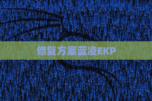 修复方案蓝凌EKP