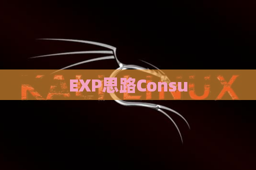 EXP思路Consu