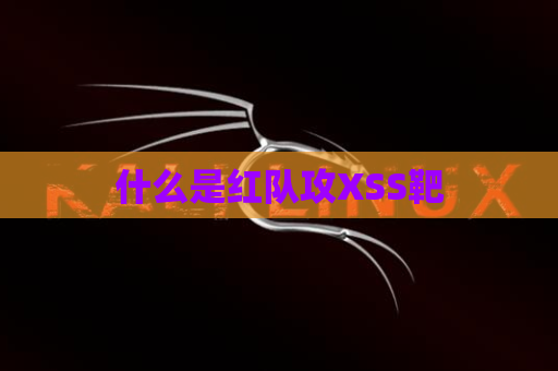 什么是红队攻XSS靶