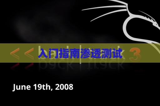 入门指南渗透测试
