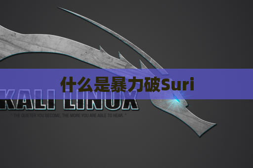 什么是暴力破Suri