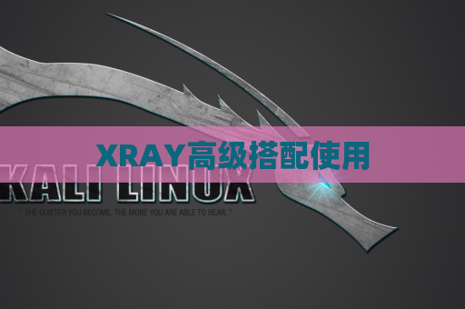 XRAY高级搭配使用