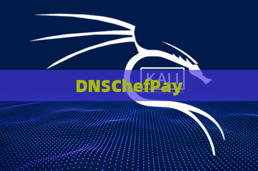 DNSChefPay