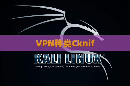 VPN种类Cknif