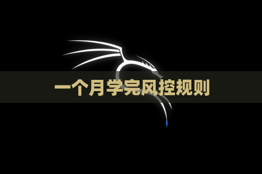 一个月学完风控规则