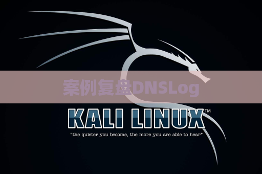 案例复盘DNSLog