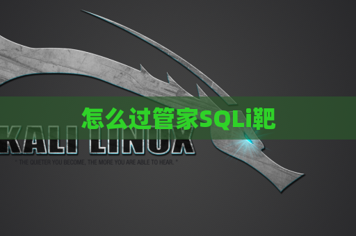怎么过管家SQLi靶