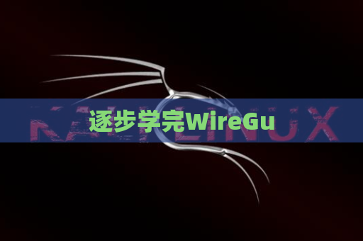 逐步学完WireGu