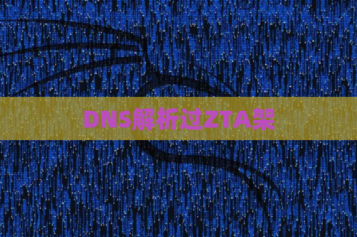 DNS解析过ZTA架