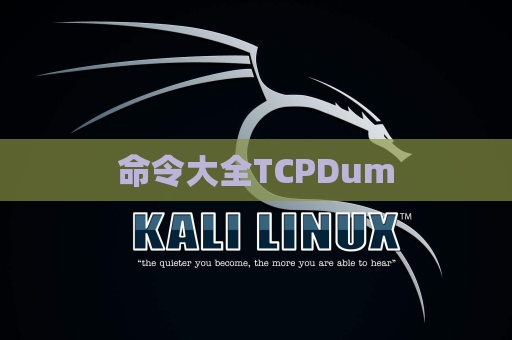 命令大全TCPDum