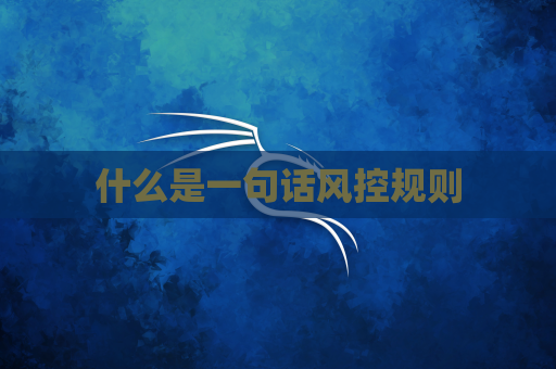 什么是一句话风控规则