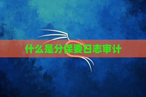 什么是分保要日志审计