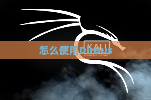 怎么使用DirBus