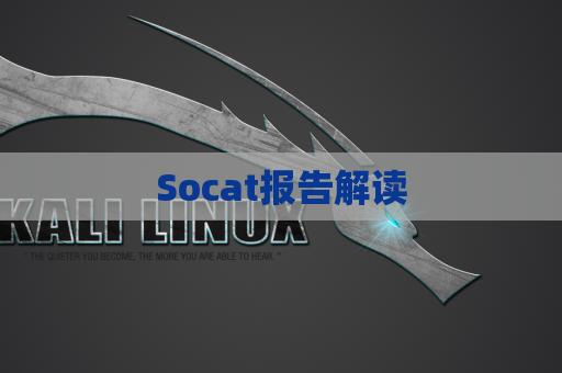 Socat报告解读