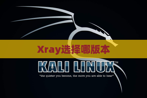 Xray选择哪版本