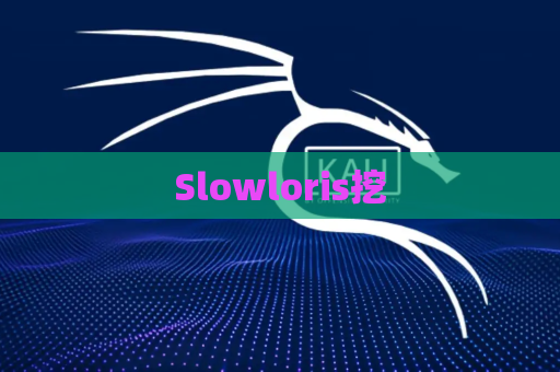 Slowloris挖