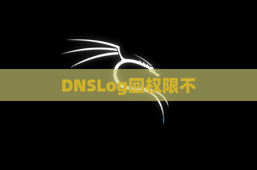 DNSLog回权限不