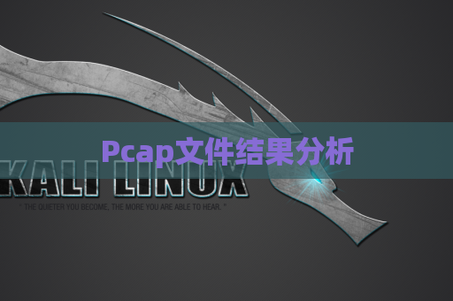 Pcap文件结果分析