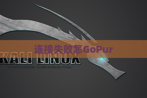 连接失败怎GoPur