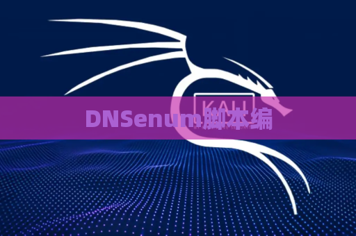 DNSenum脚本编