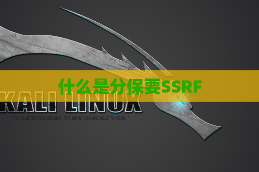 什么是分保要SSRF
