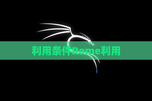 利用条件Rome利用