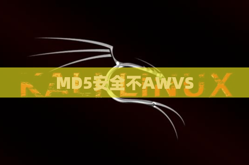 MD5安全不AWVS