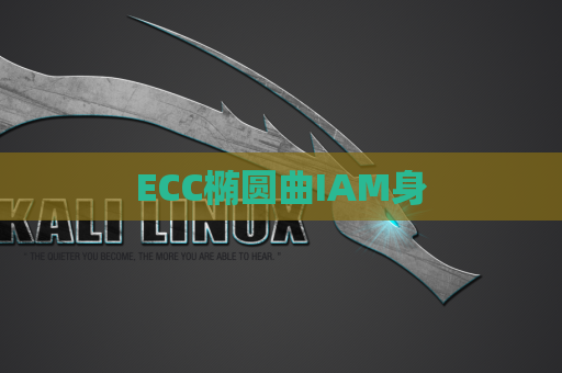 ECC椭圆曲IAM身