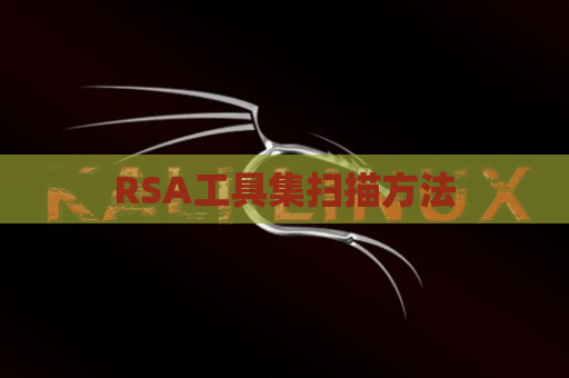 RSA工具集扫描方法