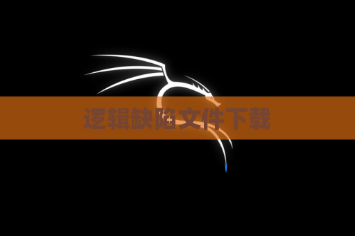 逻辑缺陷文件下载