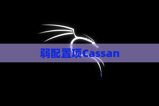 弱配置项Cassan