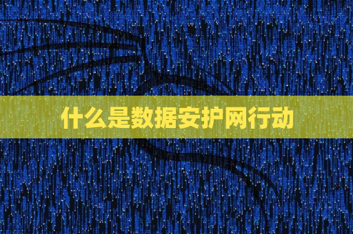 什么是数据安护网行动