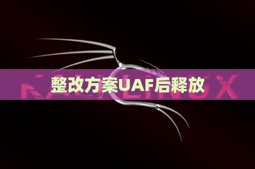 整改方案UAF后释放