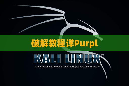 破解教程详Purpl
