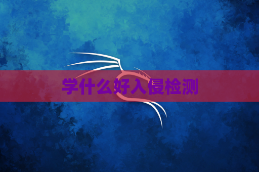 学什么好入侵检测