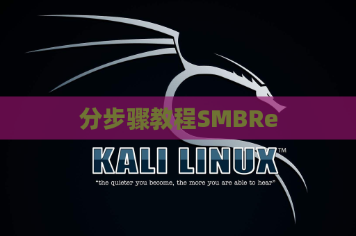 分步骤教程SMBRe