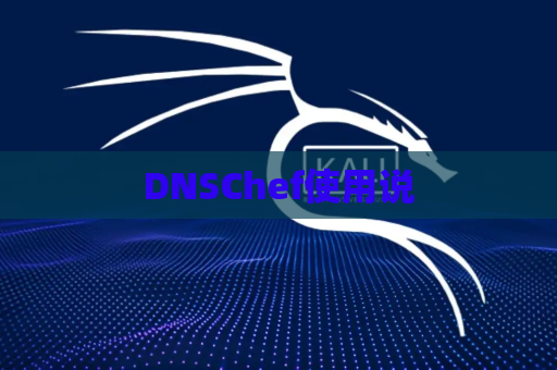 DNSChef使用说