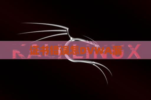 证书错误怎DVWA漏