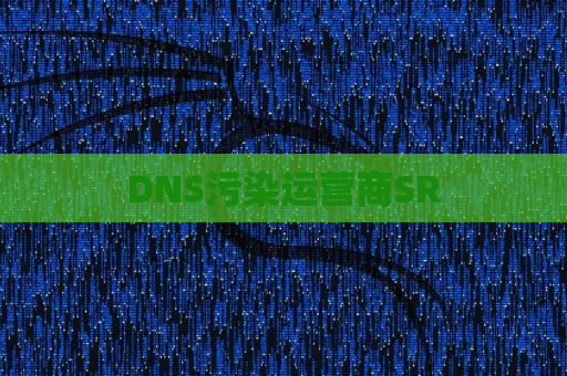 DNS污染运营商SR