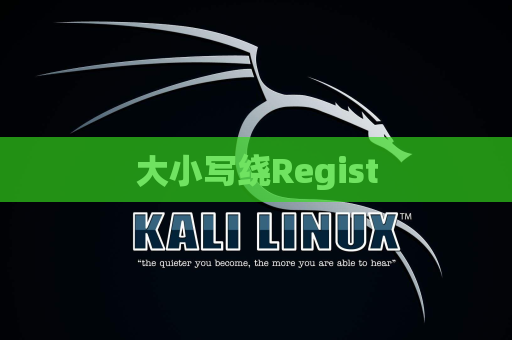 大小写绕Regist