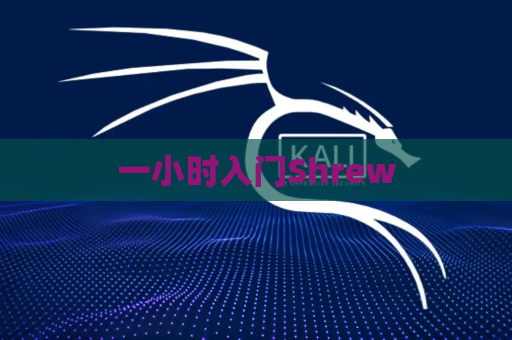 一小时入门Shrew