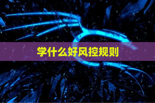 学什么好风控规则